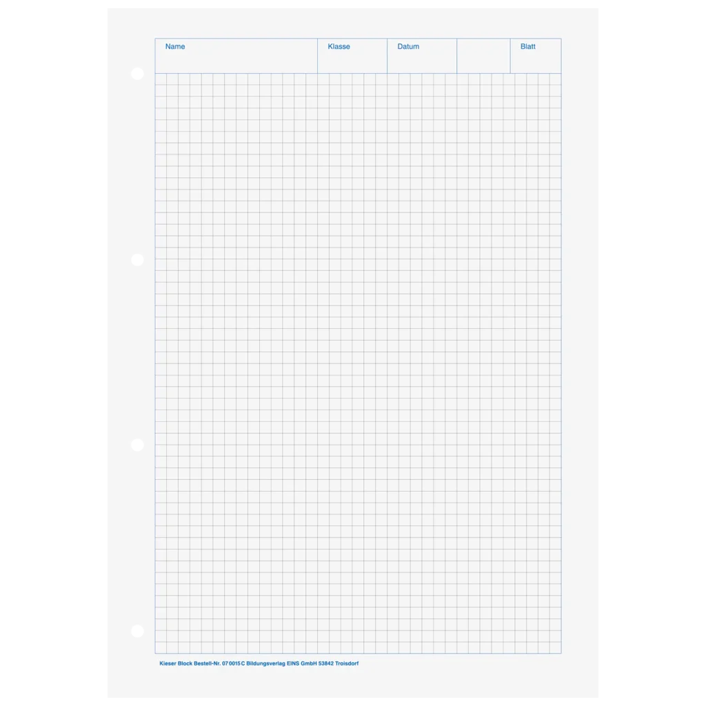 Brunnen - Kieser-Arbeitsblock - A4 - 50 Blatt - Lin. 22 kariert - chlorfrei