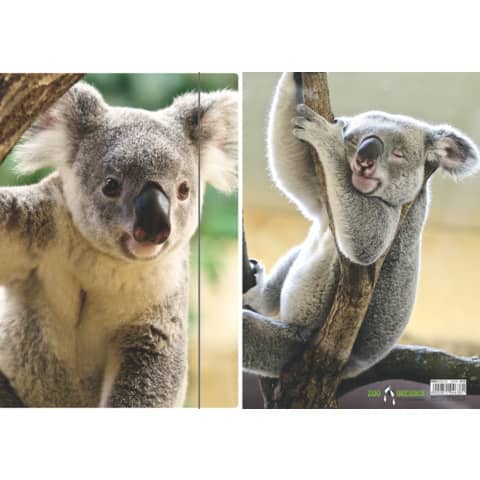 RNK Verlag - Zeichenmappe "Koala" - A4, mit Gummizugverschluss