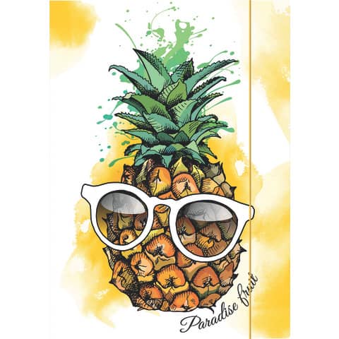 RNK Verlag - Zeichenmappe "Ananas"- A4, Karton, mit Gummizugverschluss